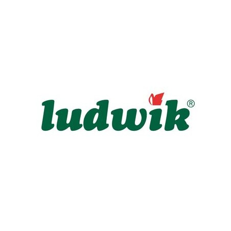 Ludwik