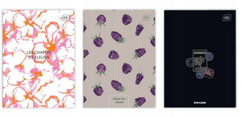 Zeszyt Interdruk UV A4/96k linia