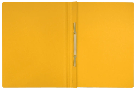 Skoroszyt kartonowy Leitz Recycle A4 żółty