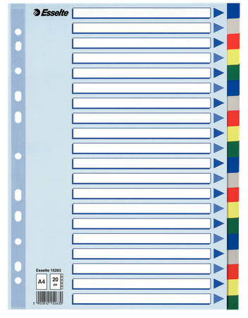 PRZEKŁADKI PP ESSELTE A4 INDEX 20 KOLORÓW
