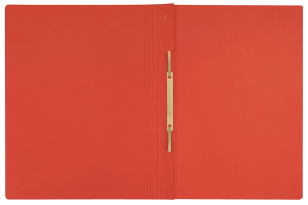 Skoroszyt kartonowy Leitz Recycle A4 czerwony