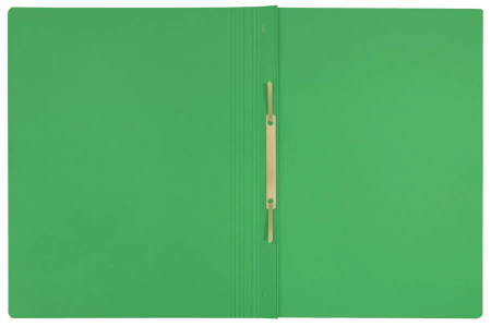 Skoroszyt kartonowy Leitz Recycle A4 zielony