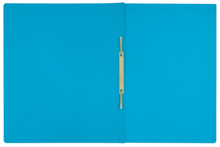 Skoroszyt kartonowy Leitz Recycle A4 niebieski