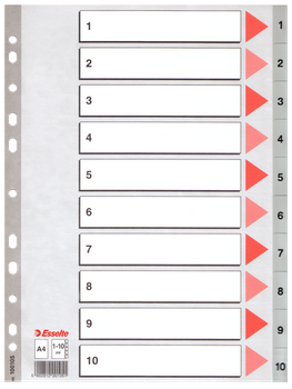PRZEKŁADKI PP ESSELTE A4 1-10