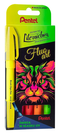 Pisaki pędzelkowe Pentel Brush Sign Pen SES15C 5 kolorów