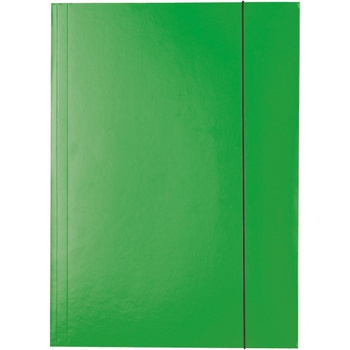 TECZKA KARTONOWA Z GUMKĄ ESSELTE A4/400g ZIELONA