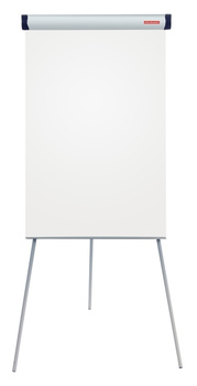 FLIPCHART MEMOBOARDS PROFESSIONAL