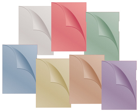 Obwoluta DONAU typu L, PP, A4, groszkowa, 120mikr., czerwona