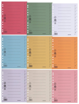 Przekładka DONAU, karton, A4, 235x300mm, 1-10, 1 karta, jasnobrązowa