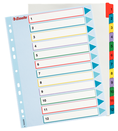 PRZEKŁADKI MYLAR ESSELTE A4 1-12