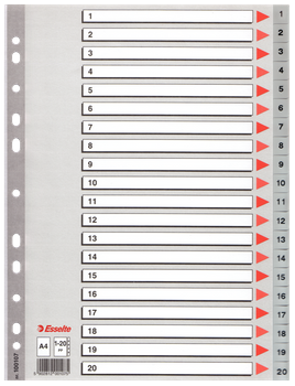 PRZEKŁADKI PP ESSELTE A4 1-20