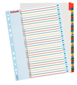 PRZEKŁADKI MYLAR ESSELTE A4 1-31