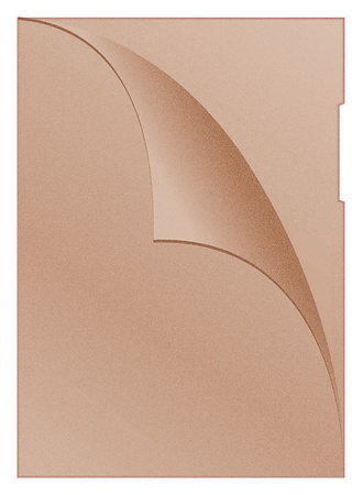 Obwoluta DONAU typu L, PP, A4, groszkowa, 120mikr., zielona