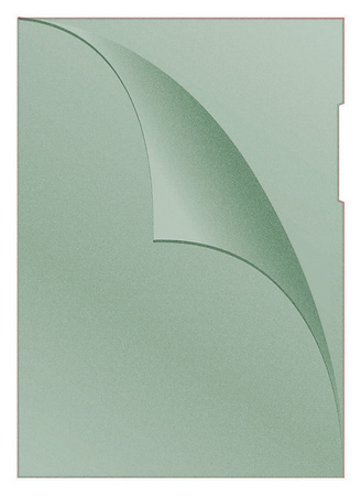 Obwoluta DONAU typu L, PP, A4, groszkowa, 120mikr., czerwona