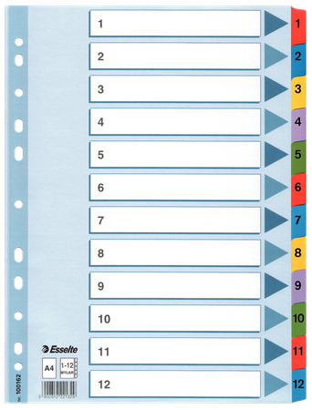 PRZEKŁADKI MYLAR ESSELTE A4 1-12