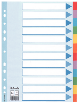 PRZEKŁADKI KARTONOWE ESSELTE A4 INDEX 12 KOLORÓW