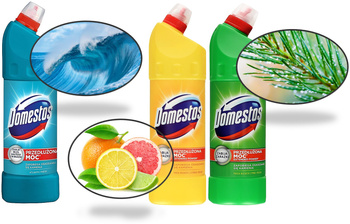 Płyn do WC Domestos 1L Pine