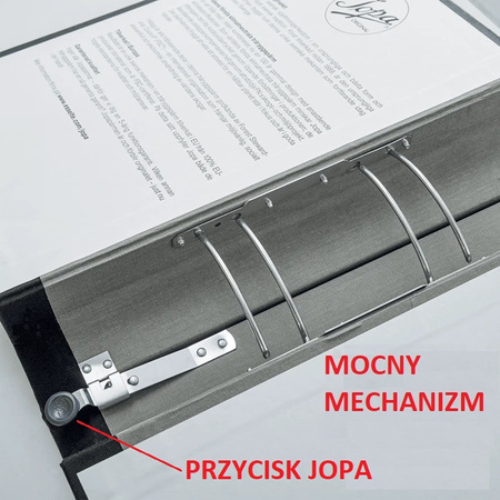 Segregator Esselte Jopa A4/60mm czarny