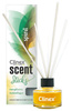 Patyczki zapachowe CLINEX Scent Sticks, Spirit, 45