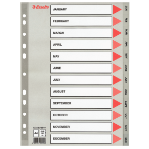 PRZEKŁADKI PP ESSELTE A4 12 MIESIĘCY
