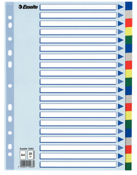 PRZEKŁADKI PP ESSELTE A4 INDEX 20 KOLORÓW