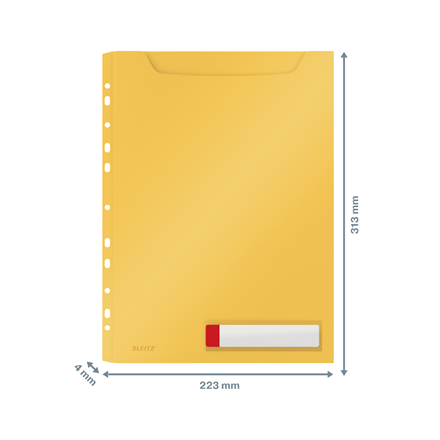 Koszulki PP Leitz Cosy A4/200µm 150k żółte (3)